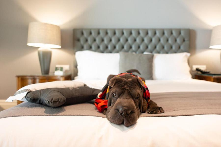 Grande Hotel Paranavaí Екстериор снимка
